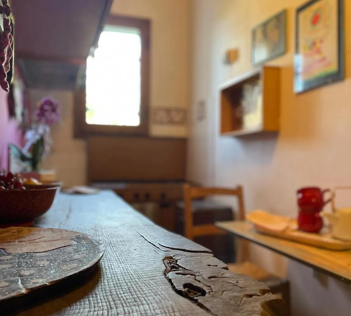 La Curanderia Apartment Pietrasanta