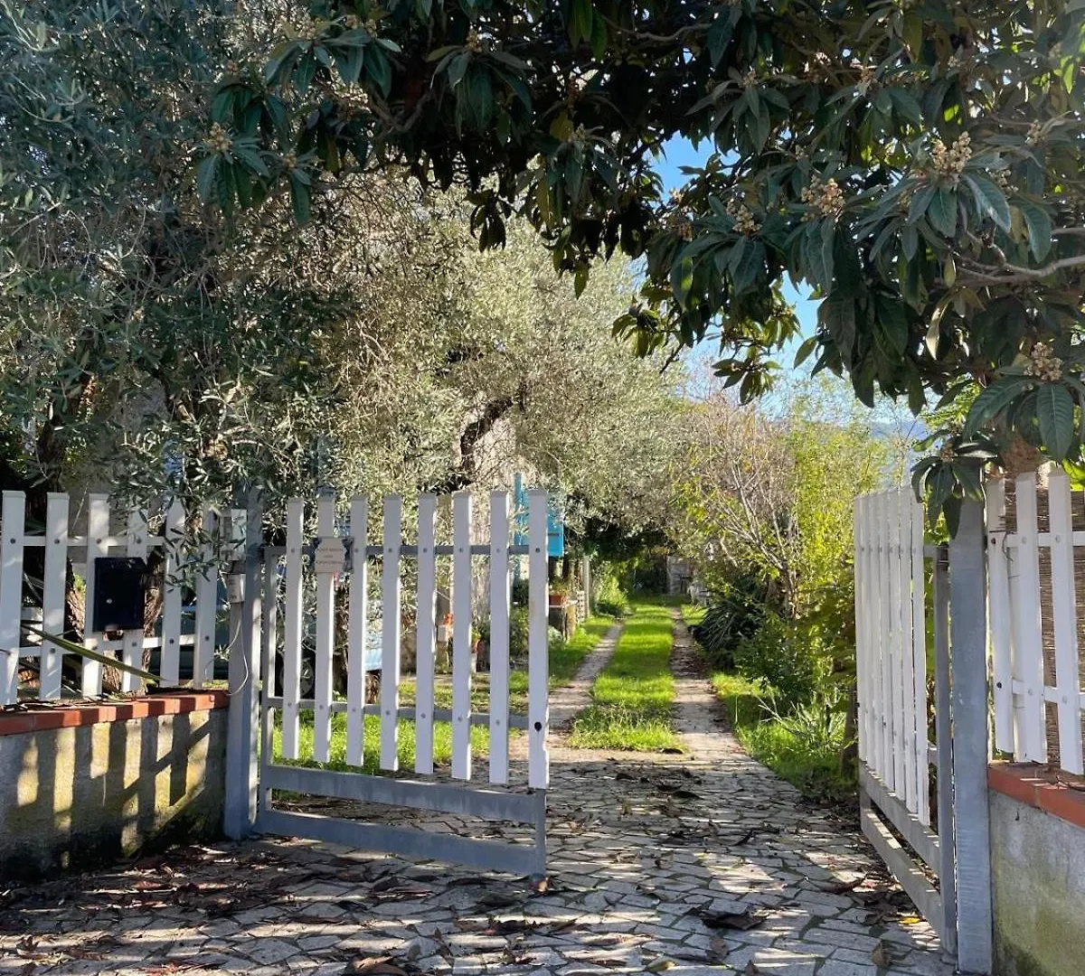 Appartamento La Curanderia Pietrasanta